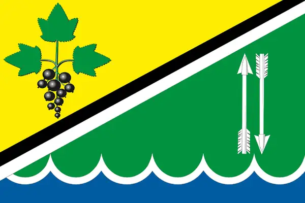 Флаг: Каргатский район